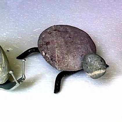 Schildkröte und Schegg