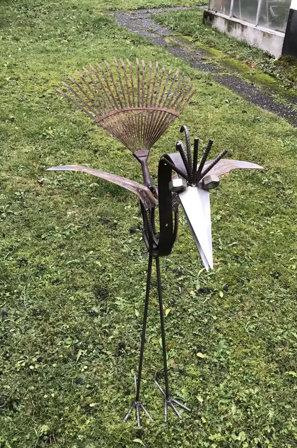 Uccello