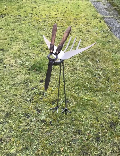 uccello