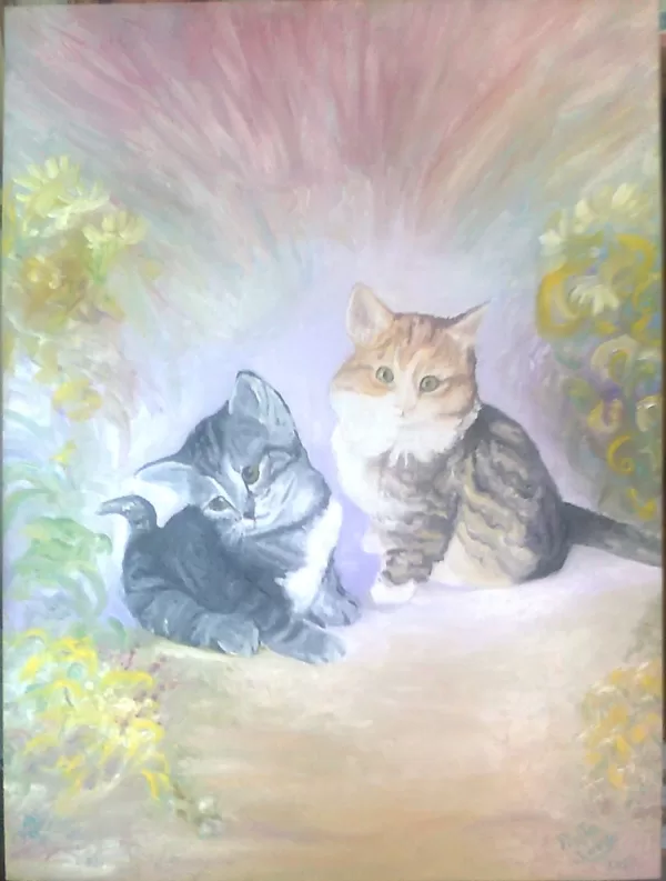 Gattini