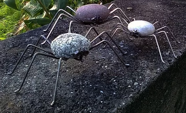 Spinne