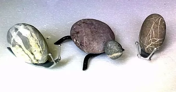 Schildkröte und Schegg